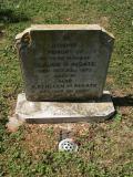 image of grave number 213570